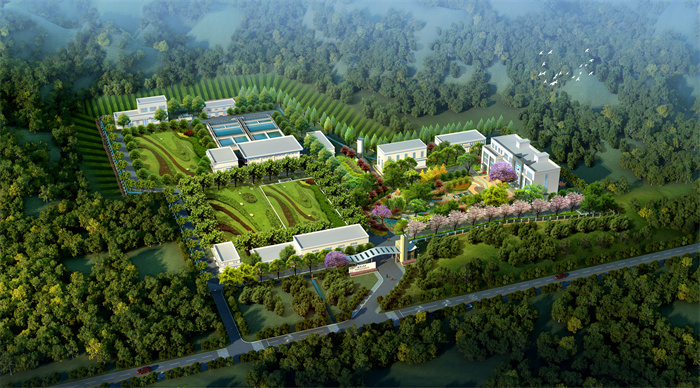 ������ˮ��Ч��ͼ